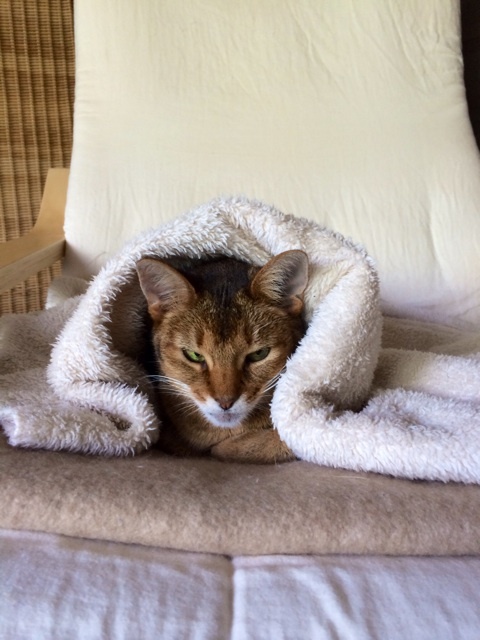 {F9EA28C5-B5F5-4ED3-8D9E-8B1E0155DC45:01}