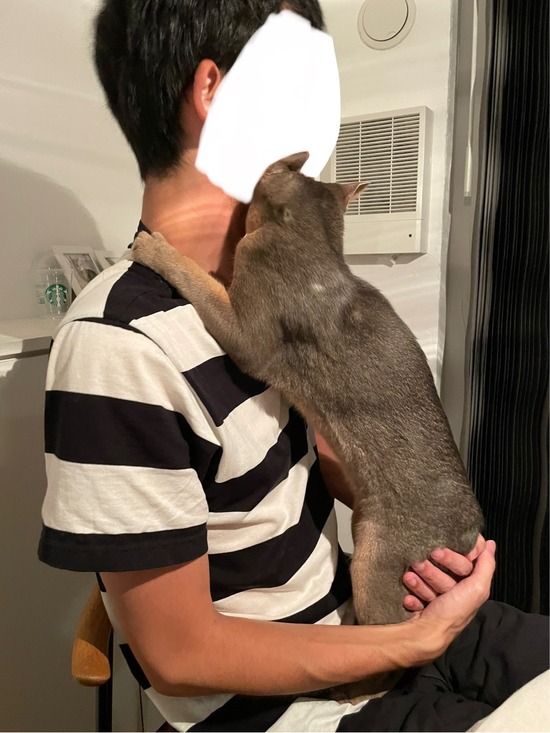 FullSizeRender