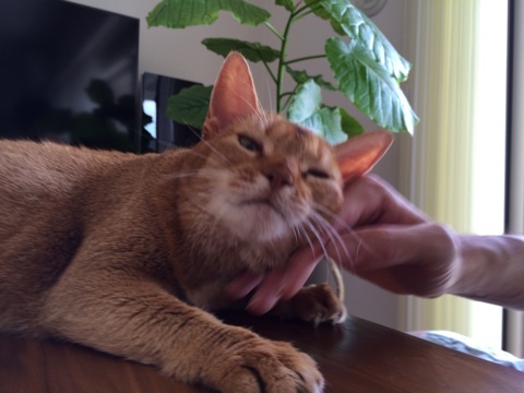 {7DDA1BB3-7217-413D-AE4B-5B509DB31EDC:01}