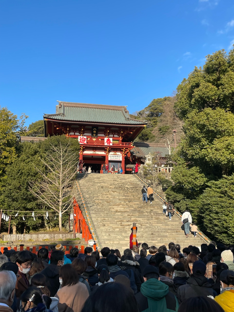 鶴岡八幡宮へ初詣に行ってきました おうちごはんとおかしとねこ Powered By ライブドアブログ 鶴岡八幡宮へ初詣に行ってきました おうちごはんとおかしとねこ Powered By ライブドアブログ