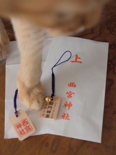joli!joli!のおうちごはんとおかしとねこ♪