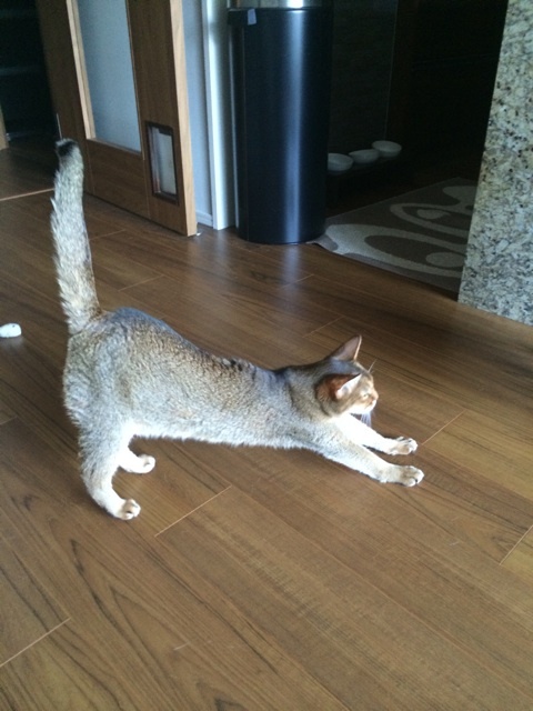 {23C30EF4-51BE-4C89-98D1-306BB176937C:01}