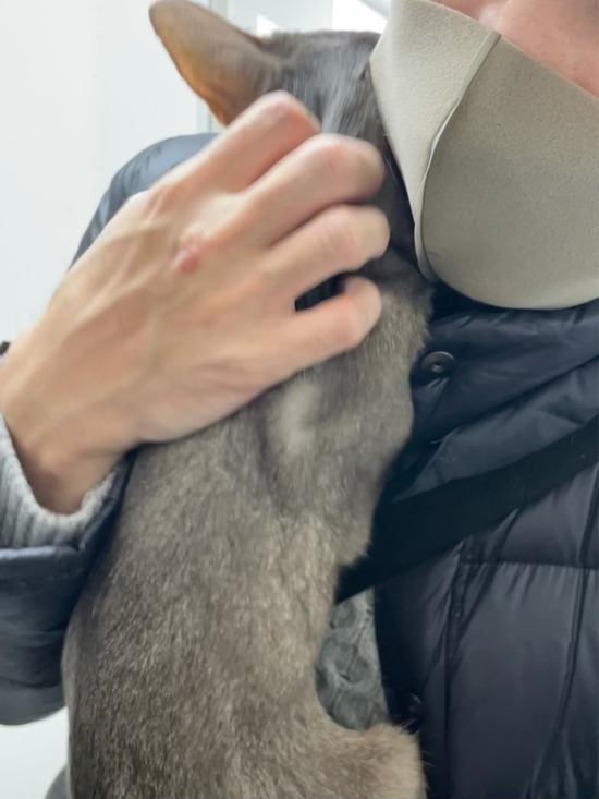 FullSizeRender