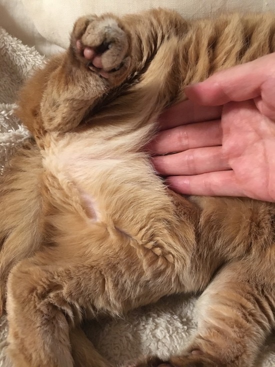 BAB6D088-1064-4A7B-8FBA-06E026BD7A01