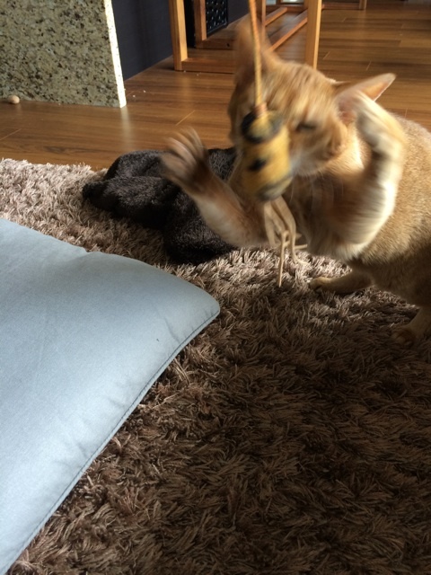 {1E33D4B7-1906-402A-B994-F68A27FF136C:01}