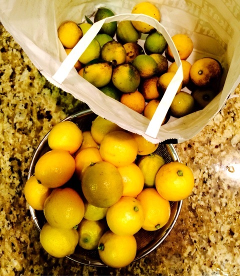 {C758C91B-8E8C-48CF-A939-89D076A94B99:01}