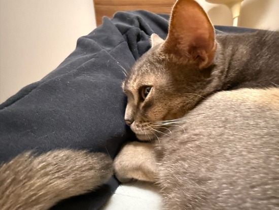 IMG_1449