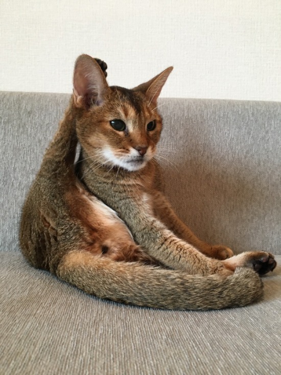 83D648EB-6B2D-4C61-95D7-31A0140D0C82