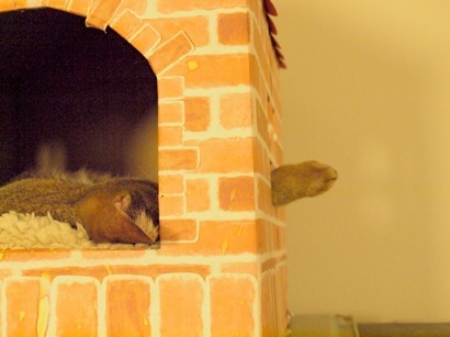 joli!joli!のおうちごはんとおかしとねこ♪