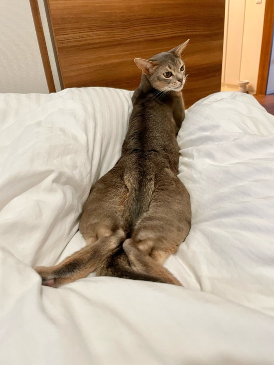 FullSizeRender