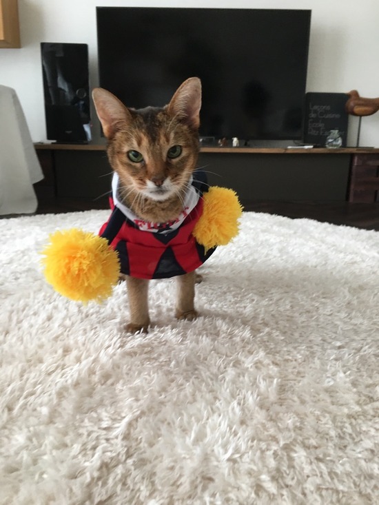 A78BE0D2-3EE1-48AD-9D7E-D11D91FA6CAF