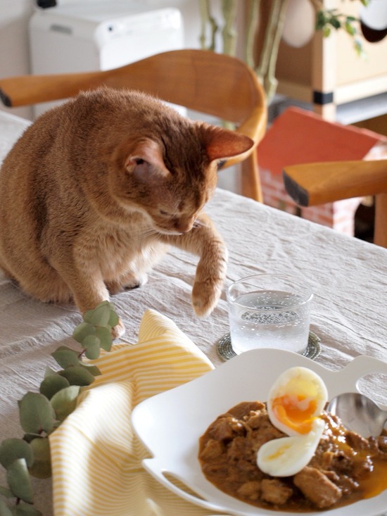 287DF100-CCAC-4F46-8107-7C422D6C2075