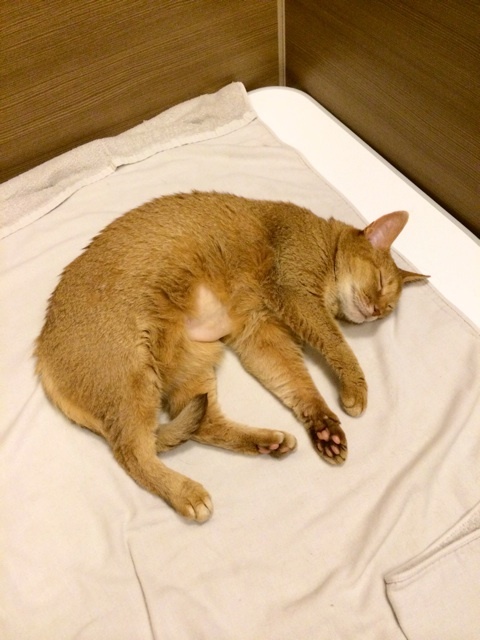 {0AA55BBB-40EC-4F09-A6DF-C33AAF07F2CE:01}