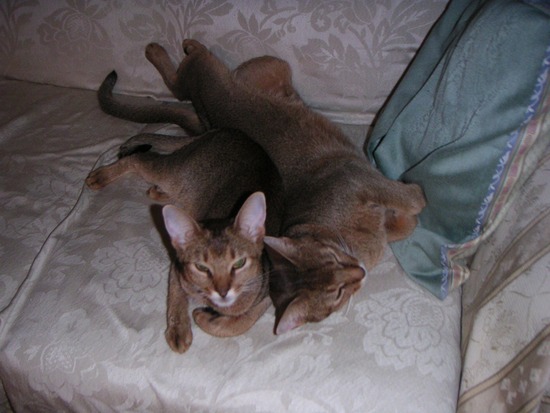 PICT0047