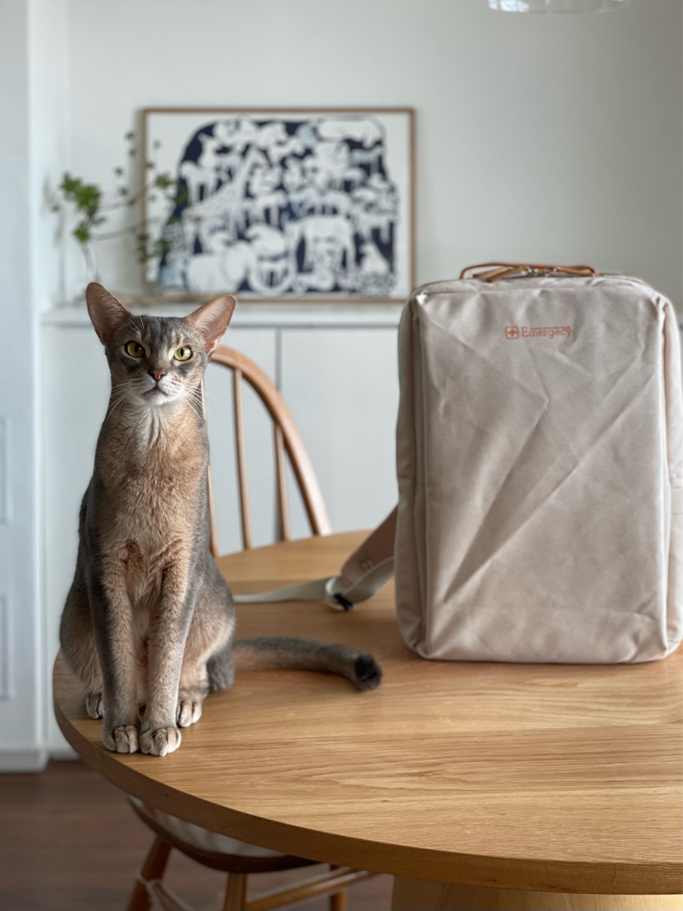 Pr 出しっぱなしでも絵になる 防災士監修のオシャレな防災セット おうちごはんとおかしとねこ Powered By ライブドアブログ Pr 出しっぱなしでも絵になる 防災士監修のオシャレな防災セット おうちごはんとおかしとねこ Powered By ライブドアブログ