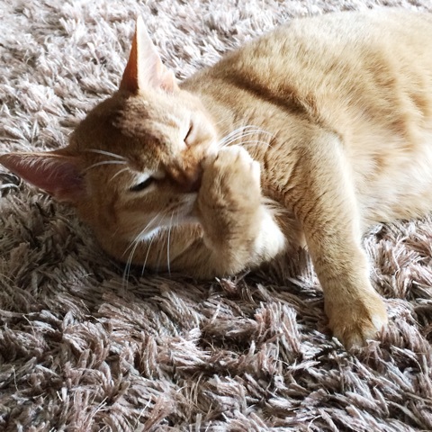 {FD117C7A-EC67-4E40-96A3-2D8C3376DF79:01}