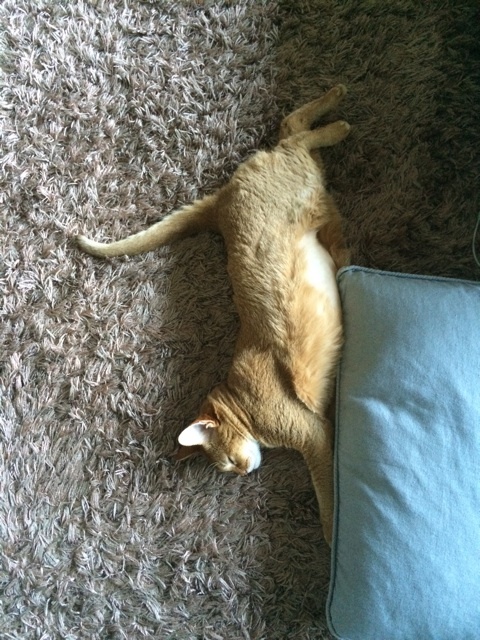 {12608664-2074-4C60-91F7-3A33B86D0725:01}