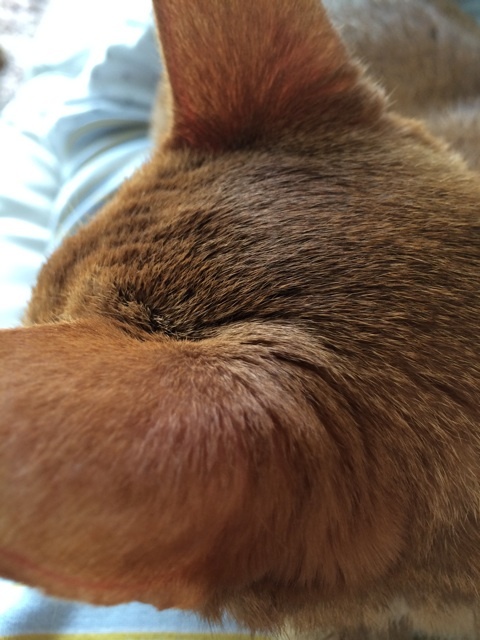 {852488A3-83F6-45F6-B0A1-5527AEB510E4:01}