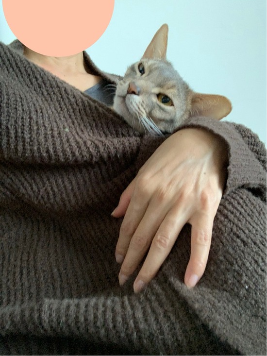 FullSizeRender