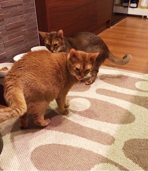 {72199947-41BF-4109-B942-5F37C79AE33B:01}