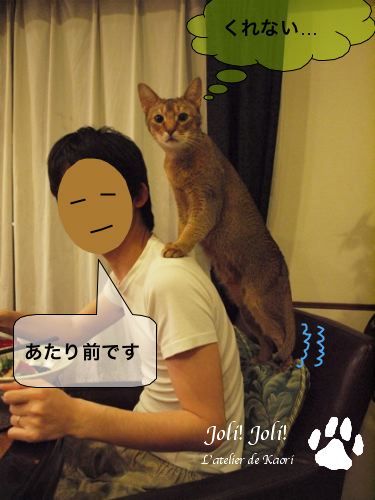 joli!joli!のおうちごはんとおかしとねこ♪