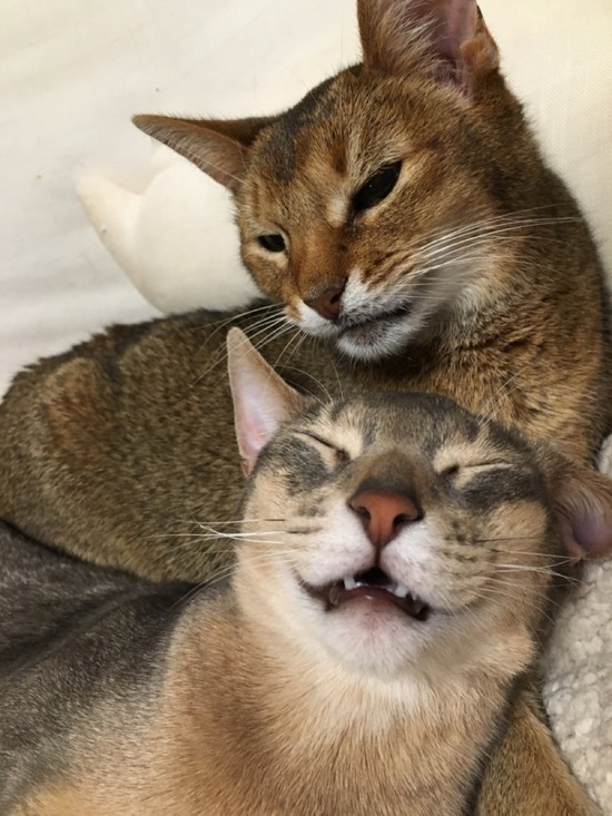 A83A5750-D39C-475D-A704-3524A75411B1