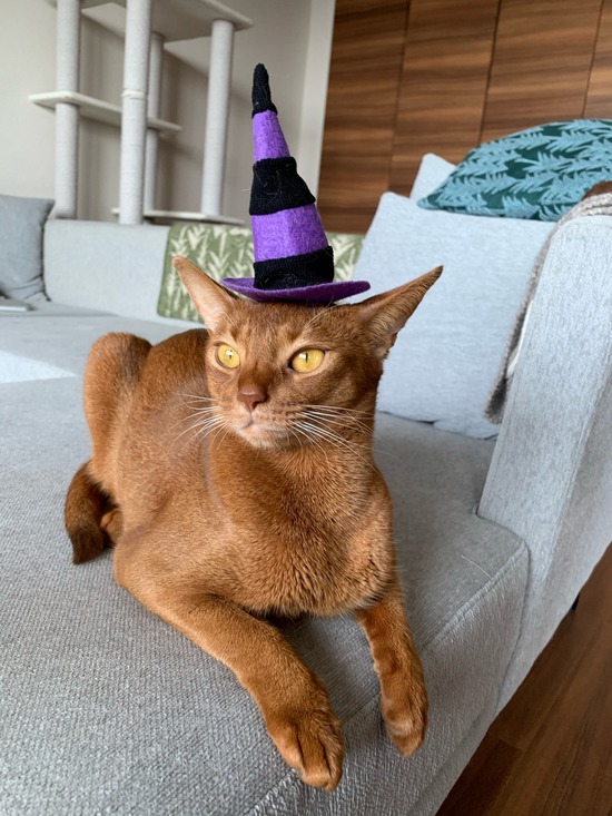 F7C5F4FA-1A77-4AD6-AC82-C4B74FCAB7D8