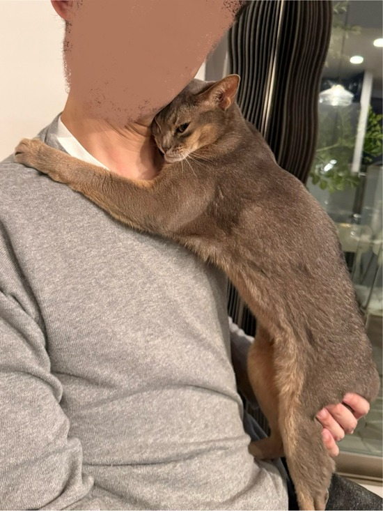 FullSizeRender