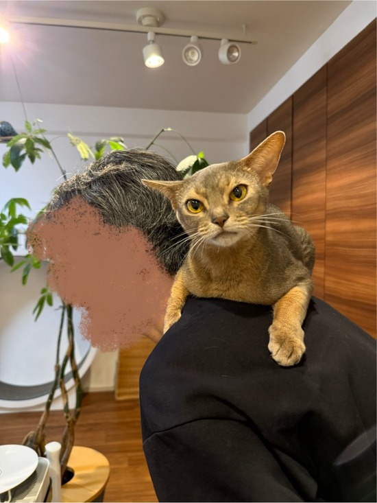 FullSizeRender