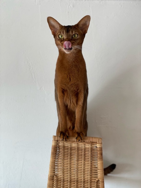 FullSizeRender