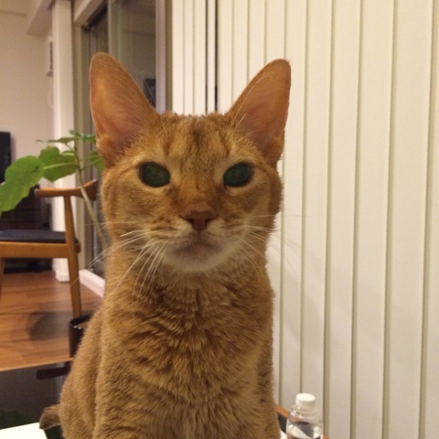 {4C2C94D6-1BE6-4A36-98E0-6A5C2688F6FE:01}