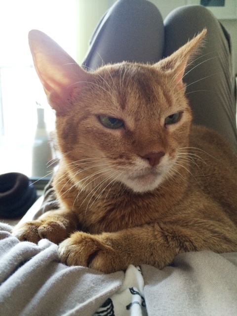 {600647AF-1F49-4E62-B333-40A182FDE1D5:01}