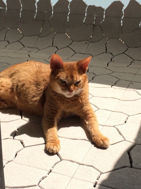 {9B8EFC55-D55A-44CF-A5B5-CDBD79E68EB7:01}