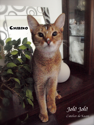 Joli!joli!のブログ-チビ子ヨーグルト