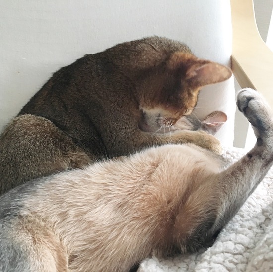 D8D01D5B-6E52-4BA4-9FF6-D05B209B10D1