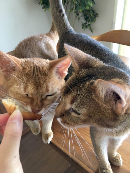 IMG_1405
