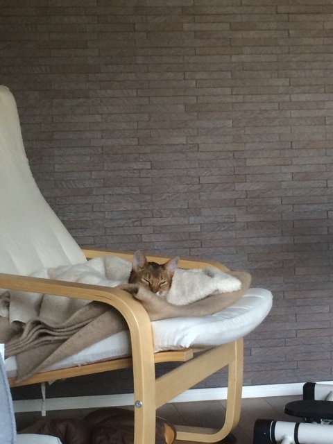 {EE0CCBAB-7271-4959-8054-4CBDF3F7A84D:01}