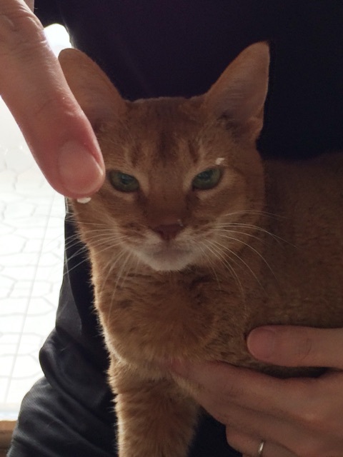 {34177D2B-1BC0-44AE-B707-808E0B714456:01}