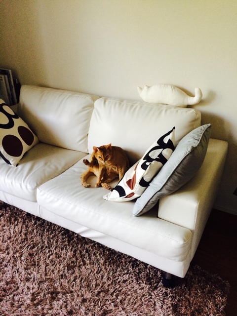 {7555AC70-A510-44C3-B364-62DC8DD667EC:01}