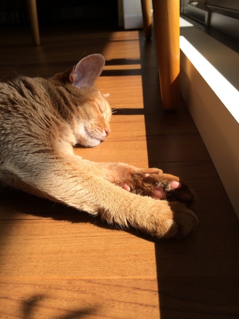 {B7DDCD2D-D6D3-47DC-B5AC-A174FBADADDC:01}