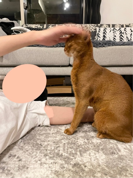 FullSizeRender