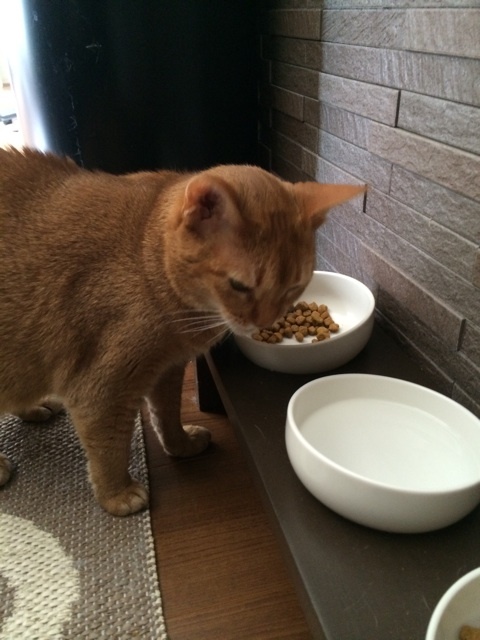 {5EA3459E-82E9-481E-9892-1B0B06285606:01}