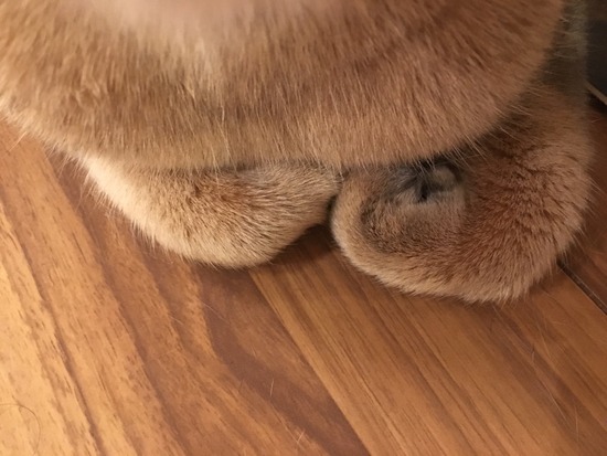 FullSizeRender