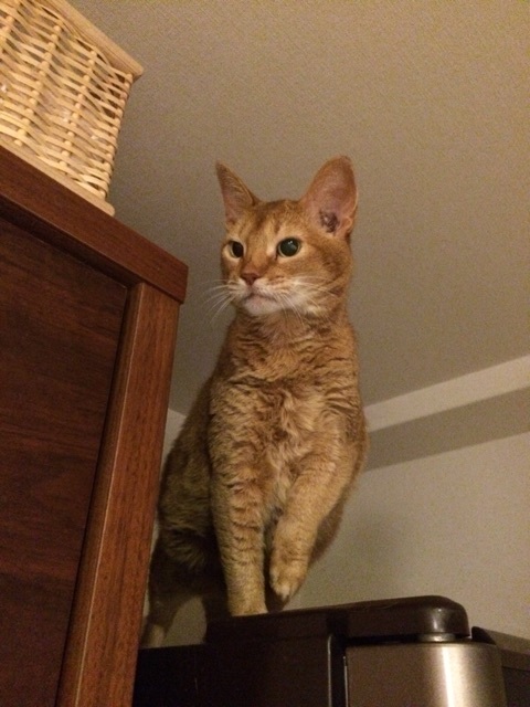 {19140780-9AB4-412A-97AC-46DDF06D235D:01}