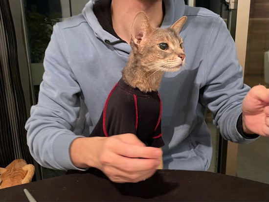 FullSizeRender