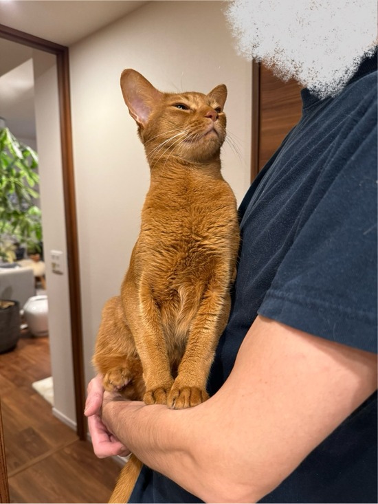 FullSizeRender