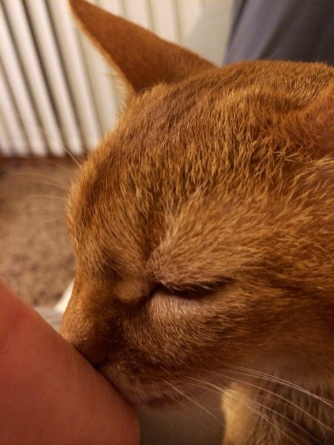 {DF2A7530-6834-467B-AE93-800046243D45:01}