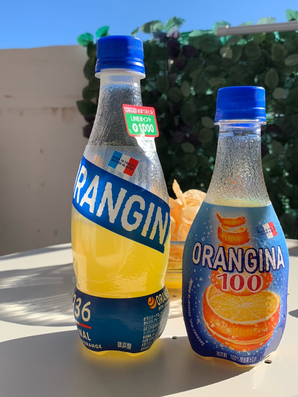 オランジーナ100とポテチでベランダパーティー おうちごはんとおかしとねこ Powered By ライブドアブログ オランジーナ100とポテチでベランダパーティー おうちごはんとおかしとねこ Powered By ライブドアブログ
