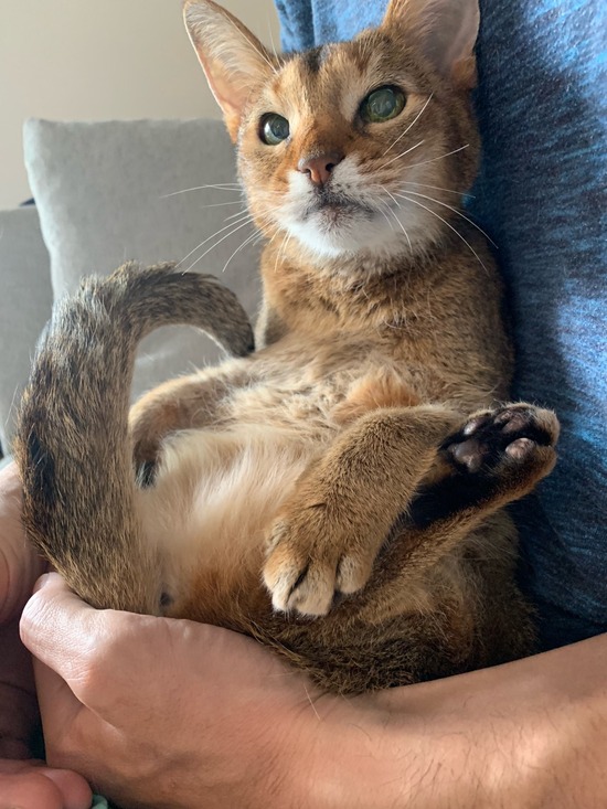 08866CFD-9A0E-44F6-BE35-A7880B918969