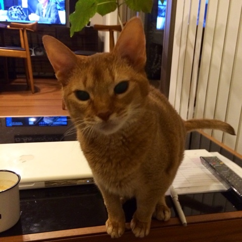 {BF06D872-1006-4157-8340-7E2508607FC3:01}